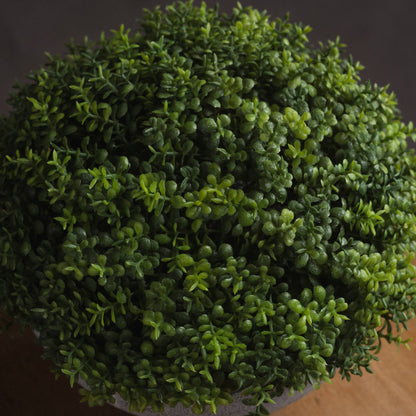 Small Hebe Globe Pot
