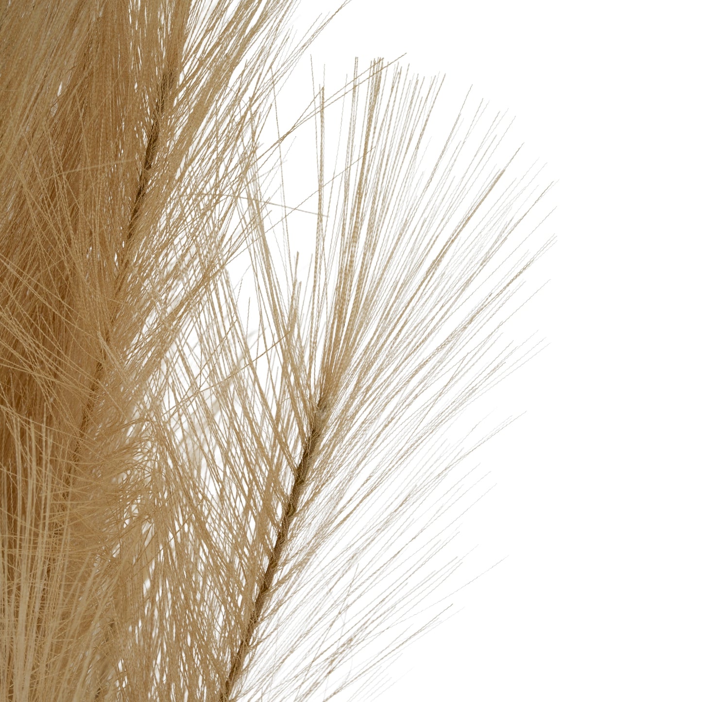 Large Faux Pampas Grass Stem