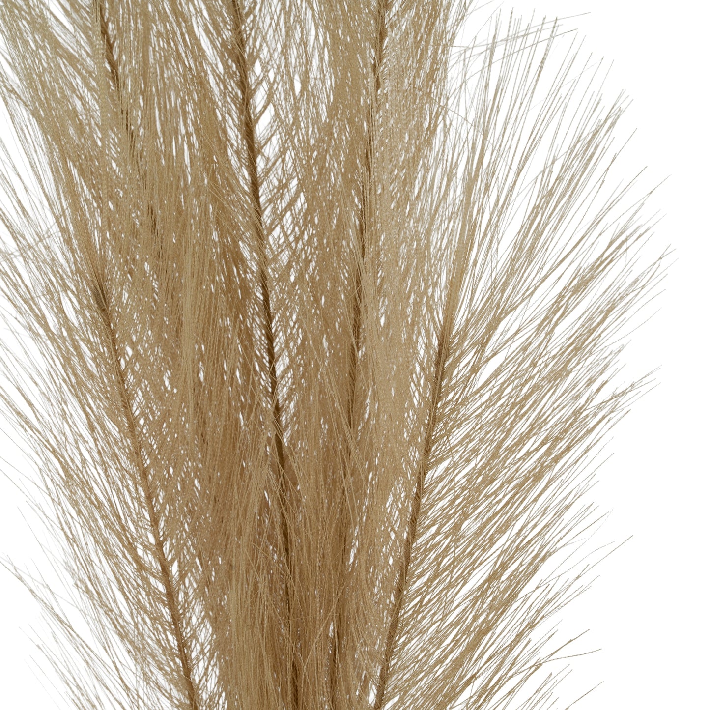 Faux Pampas Grass Stem
