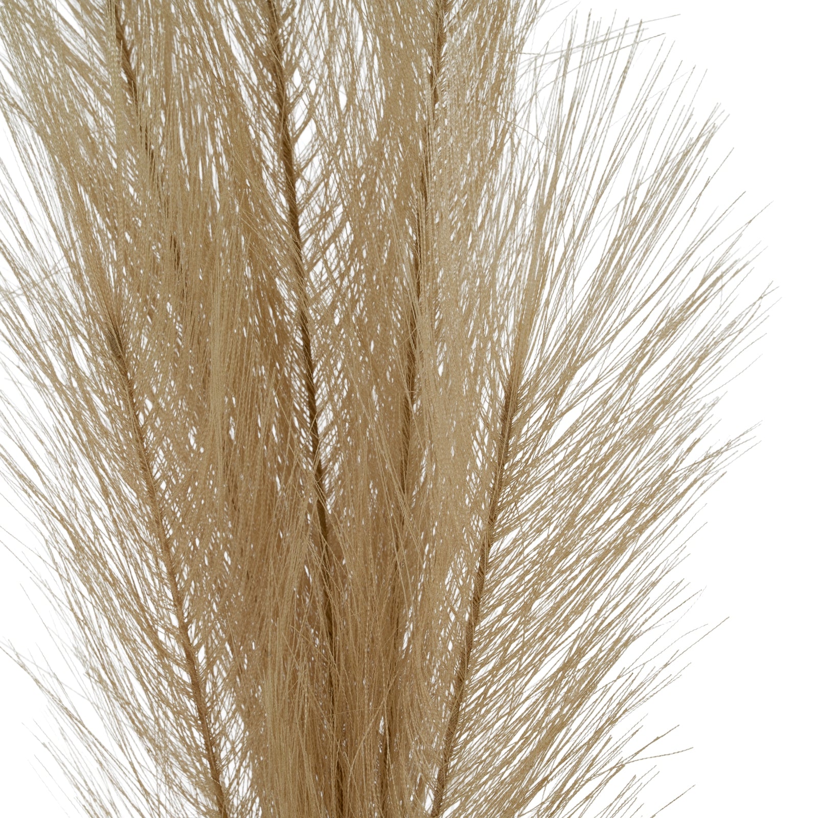 Faux Pampas Grass Stem