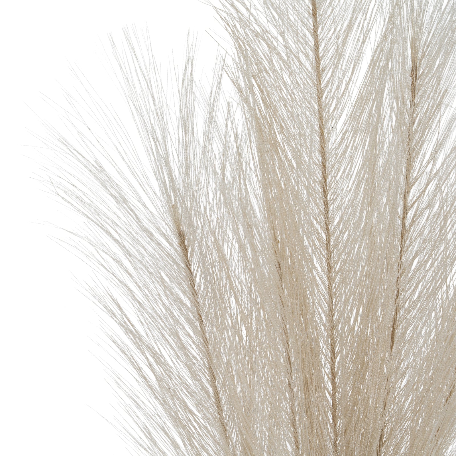 Bleached  Large Faux Pampas Grass Stem