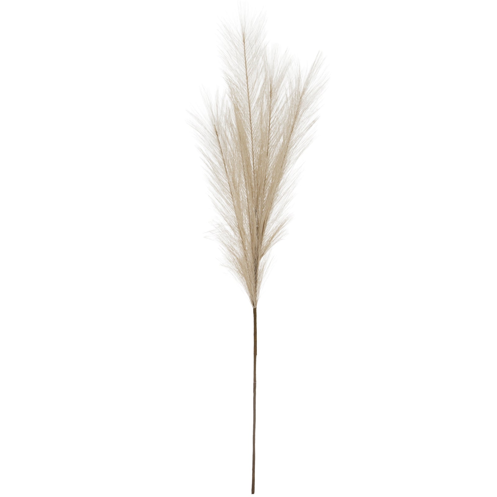 Bleached  Large Faux Pampas Grass Stem