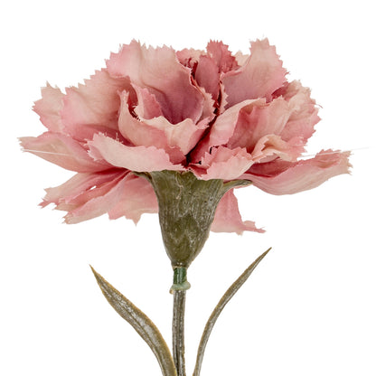 Pink Carnation Stem