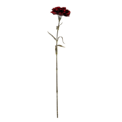 Burgundy Carnation Stem