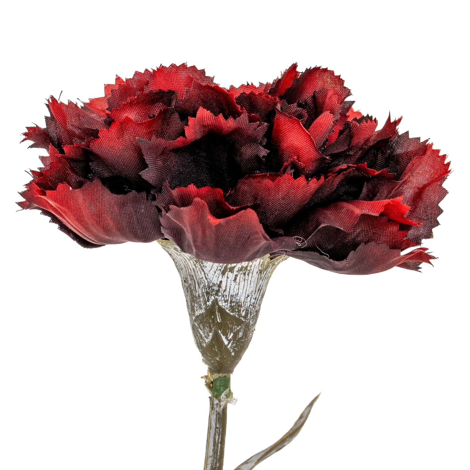 Burgundy Carnation Stem