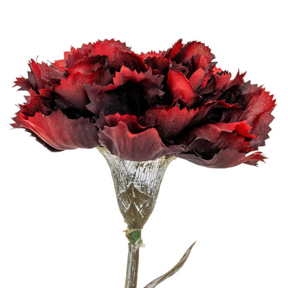 Burgundy Carnation Stem