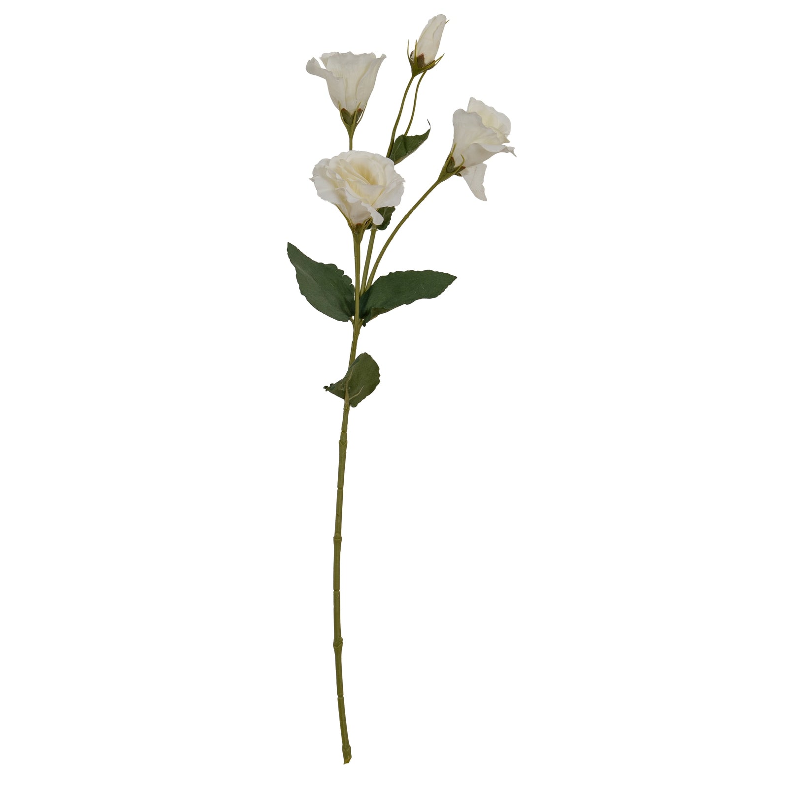White Lisianthus Spray
