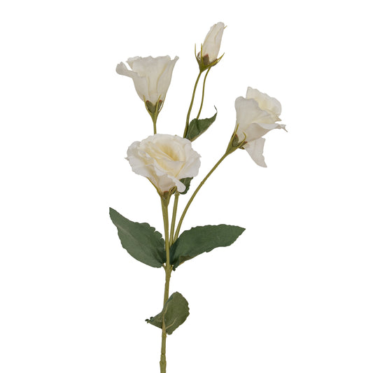 White Lisianthus Spray