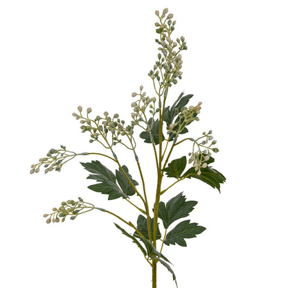 Milk Thistle Bud Spray