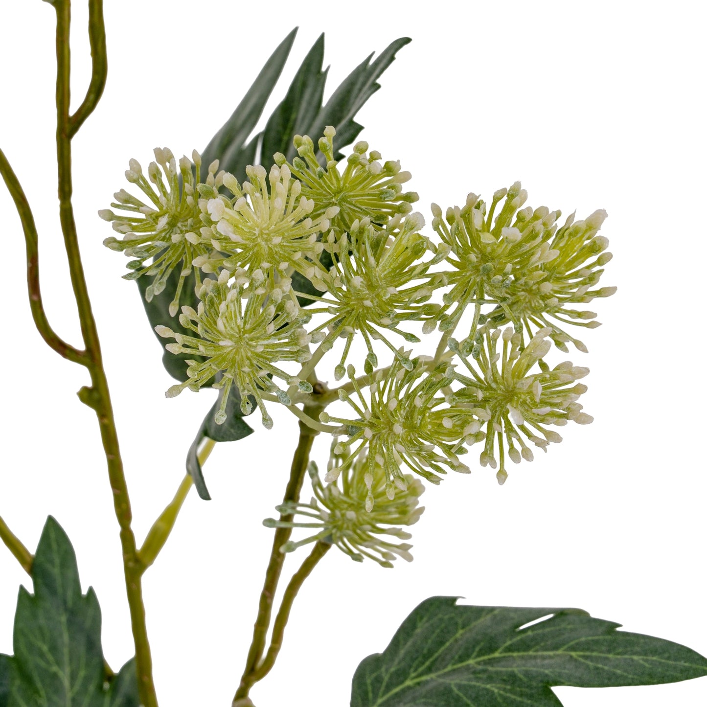 Green French Meadow Spray