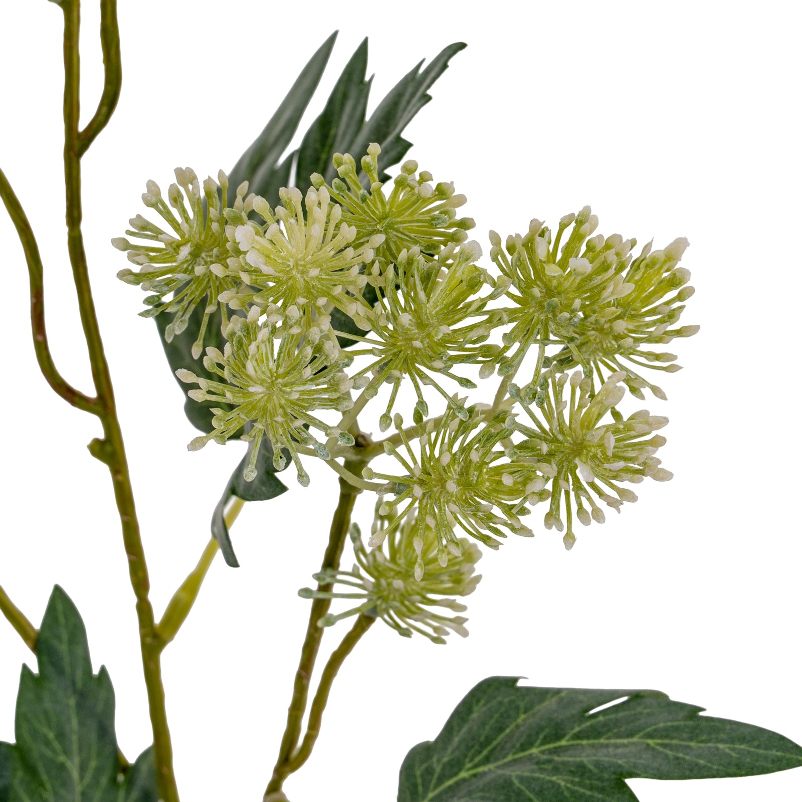 Green French Meadow Spray