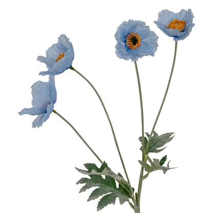 Blue Papaver Oppy Spray