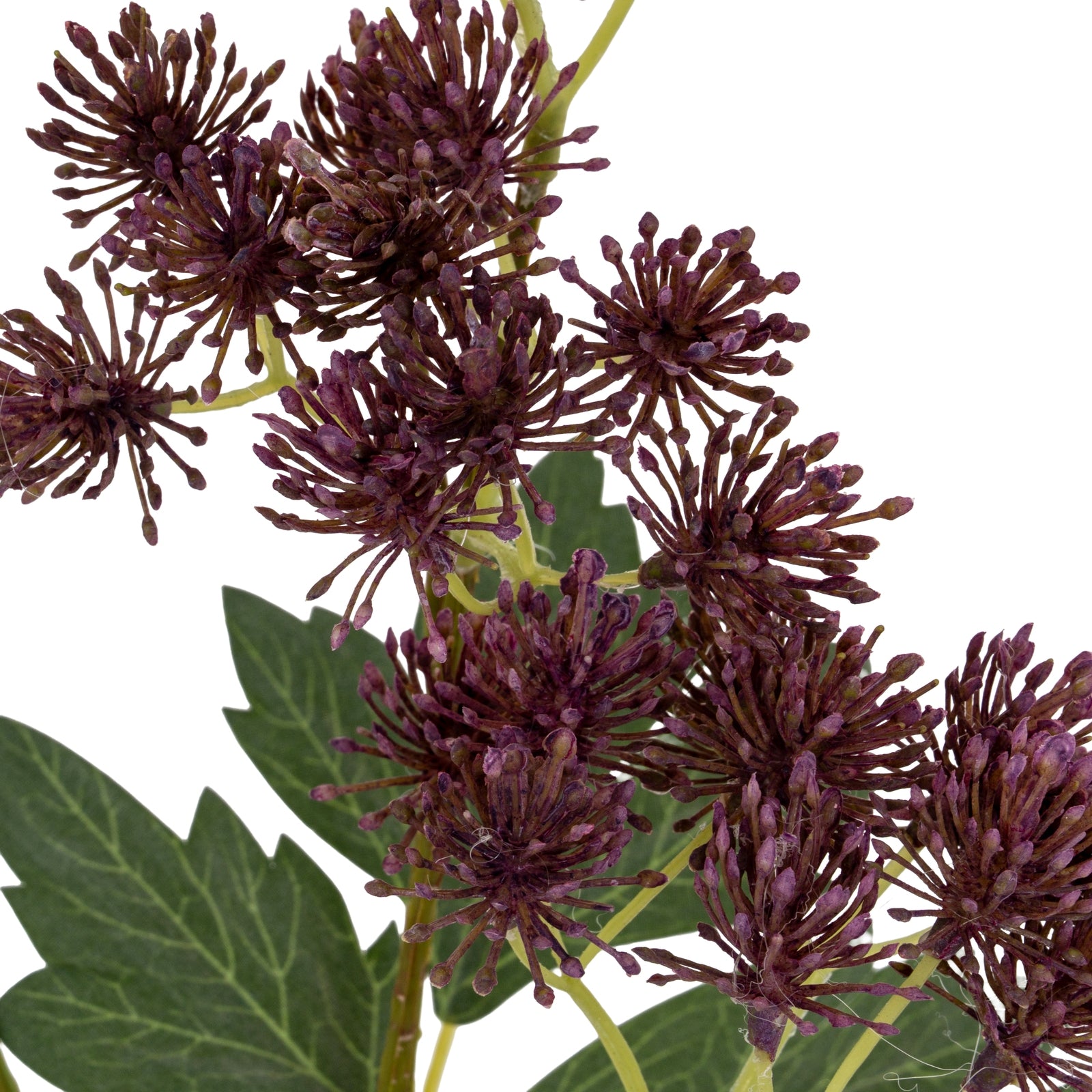 Purple French Meadow Spray