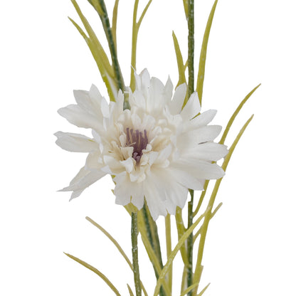 White Cornflower Stem