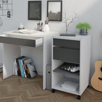 Function Plus Mobile file cabinet 2 drawers + 1 shelf