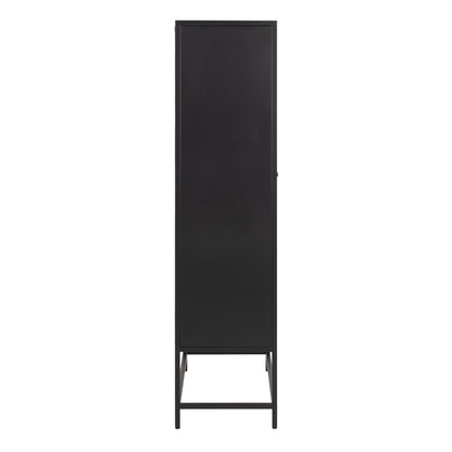 Newcastle 2 Door Cabinet in Matt Black